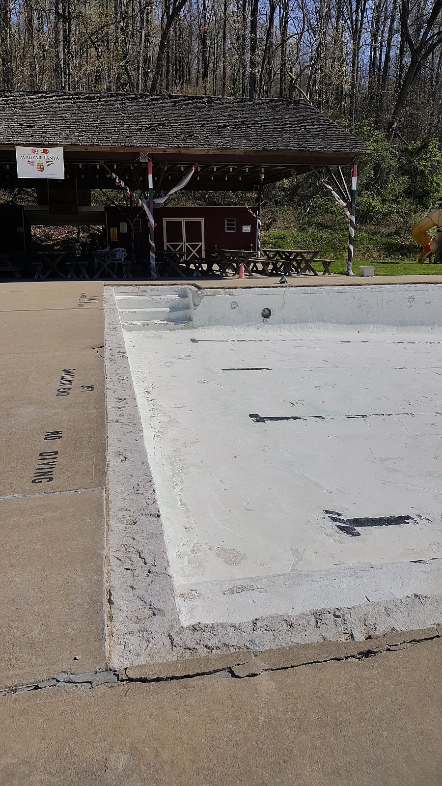 Swimming Pool Renovation