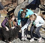                                 - KMCSSZ NY Körzet Őrsvezetői Tovább Képzés